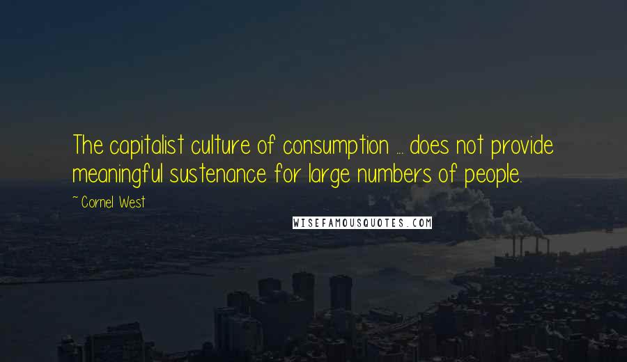 Cornel West Quotes: The capitalist culture of consumption ... does not provide meaningful sustenance for large numbers of people.