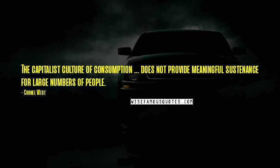 Cornel West Quotes: The capitalist culture of consumption ... does not provide meaningful sustenance for large numbers of people.