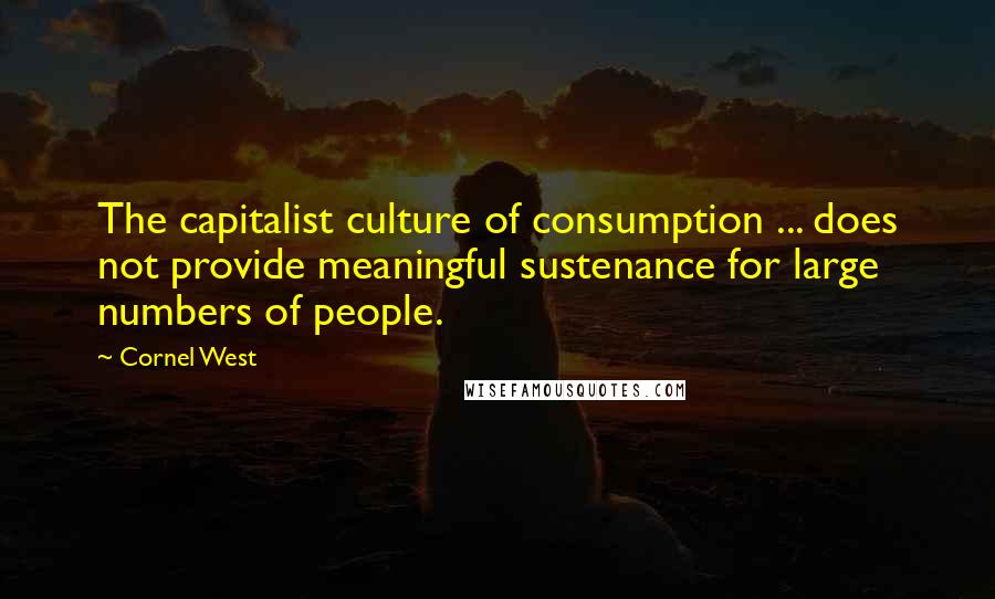 Cornel West Quotes: The capitalist culture of consumption ... does not provide meaningful sustenance for large numbers of people.