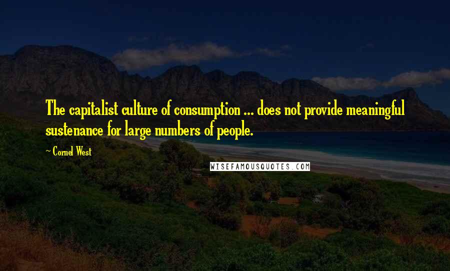 Cornel West Quotes: The capitalist culture of consumption ... does not provide meaningful sustenance for large numbers of people.