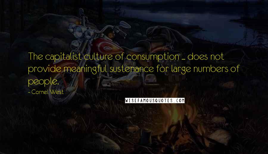 Cornel West Quotes: The capitalist culture of consumption ... does not provide meaningful sustenance for large numbers of people.