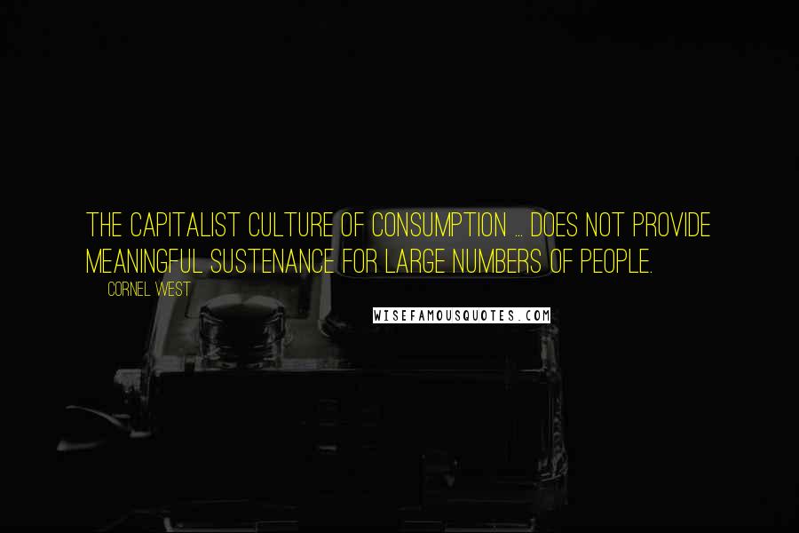 Cornel West Quotes: The capitalist culture of consumption ... does not provide meaningful sustenance for large numbers of people.