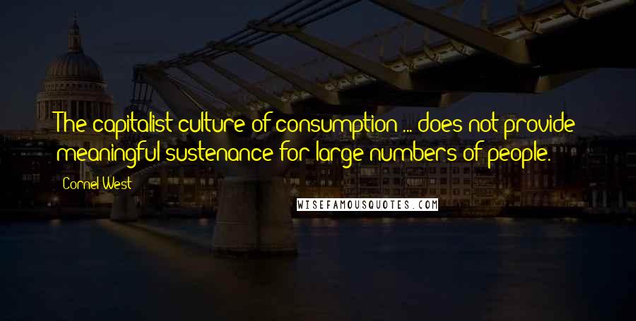 Cornel West Quotes: The capitalist culture of consumption ... does not provide meaningful sustenance for large numbers of people.