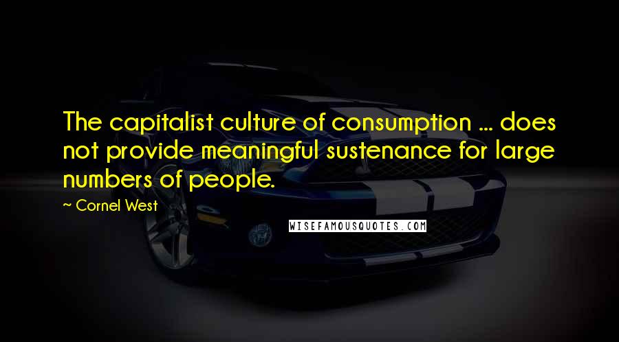 Cornel West Quotes: The capitalist culture of consumption ... does not provide meaningful sustenance for large numbers of people.