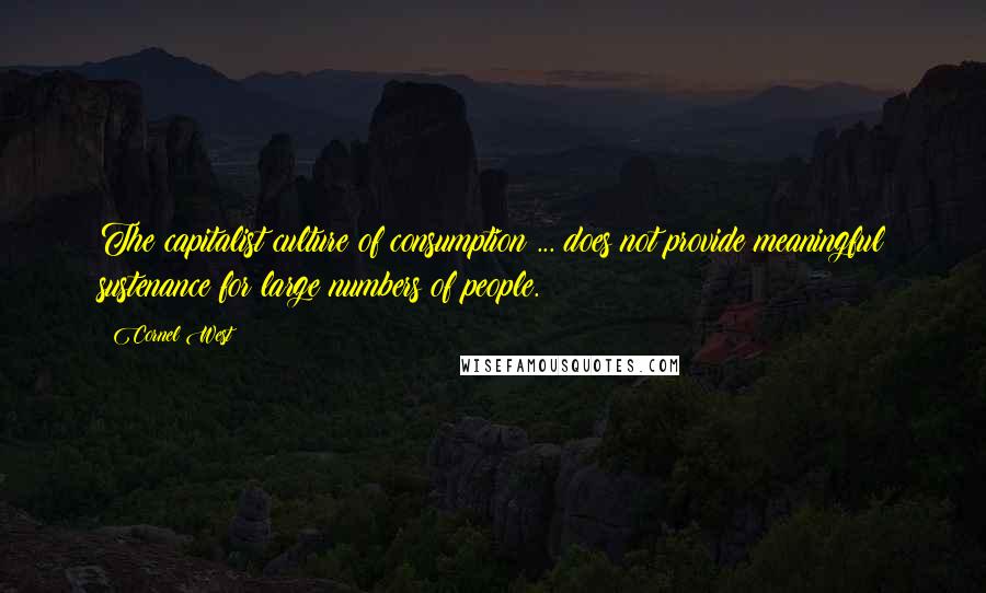 Cornel West Quotes: The capitalist culture of consumption ... does not provide meaningful sustenance for large numbers of people.