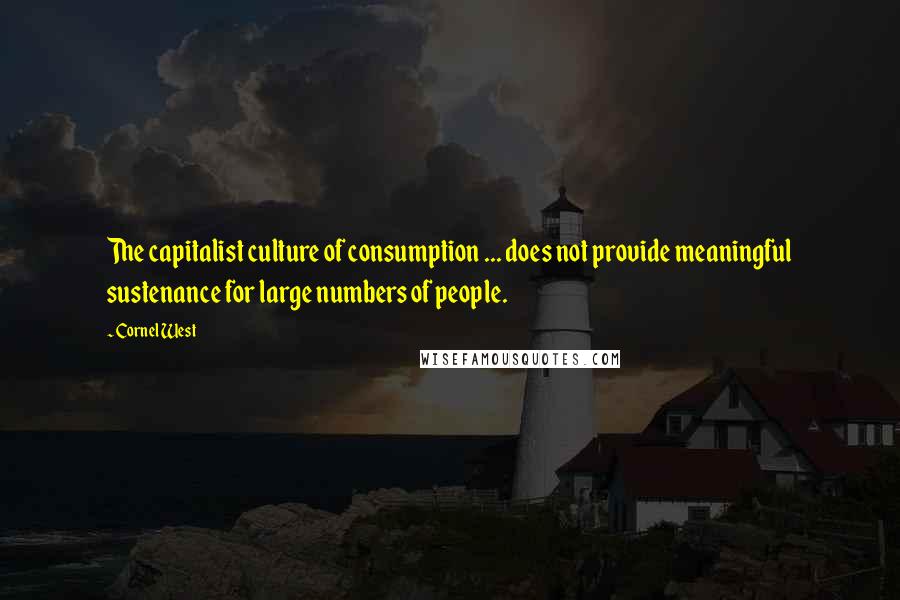 Cornel West Quotes: The capitalist culture of consumption ... does not provide meaningful sustenance for large numbers of people.