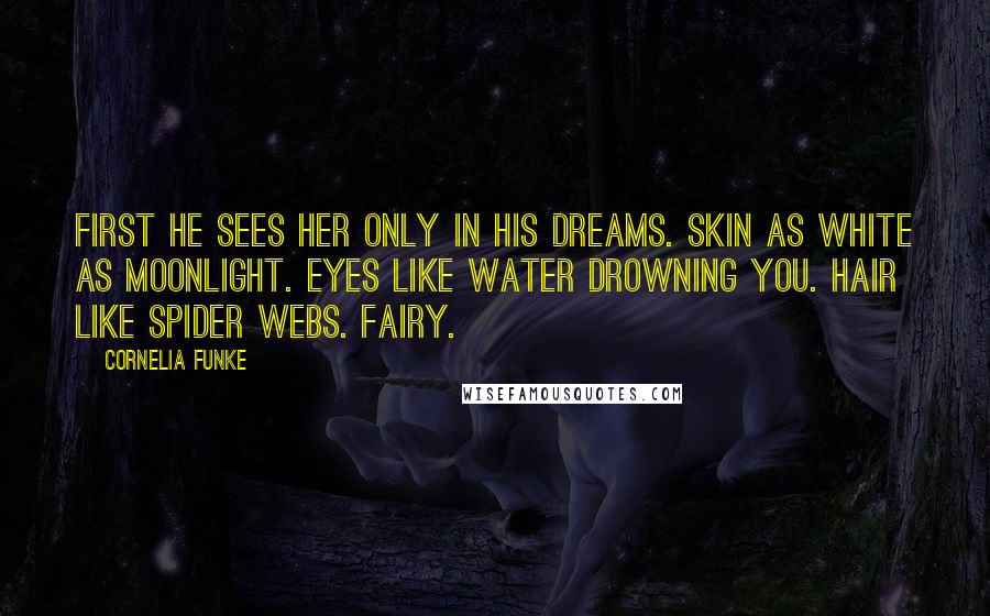 Cornelia Funke Quotes: First he sees her only in his dreams. Skin as white as moonlight. Eyes like water drowning you. Hair like spider webs. Fairy.