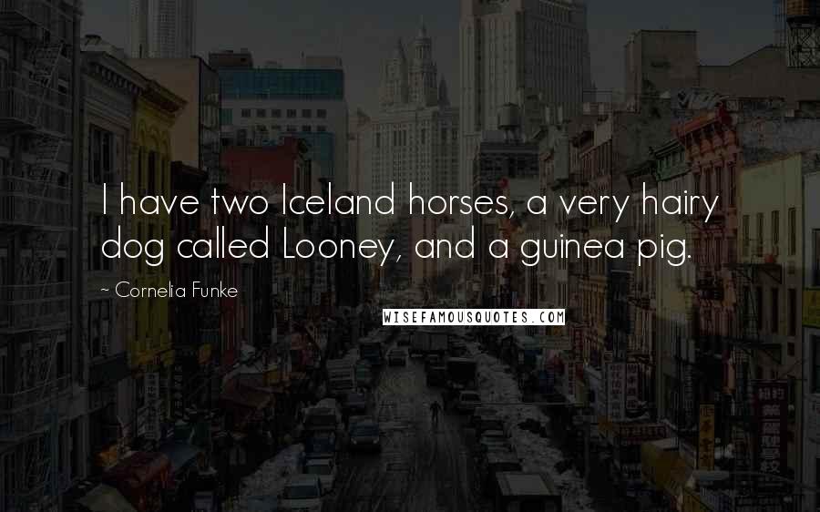 Cornelia Funke Quotes: I have two Iceland horses, a very hairy dog called Looney, and a guinea pig.