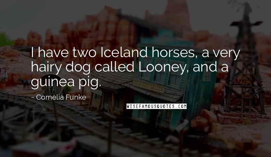 Cornelia Funke Quotes: I have two Iceland horses, a very hairy dog called Looney, and a guinea pig.