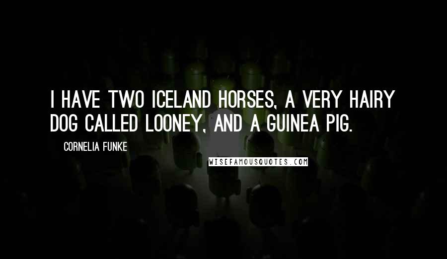 Cornelia Funke Quotes: I have two Iceland horses, a very hairy dog called Looney, and a guinea pig.