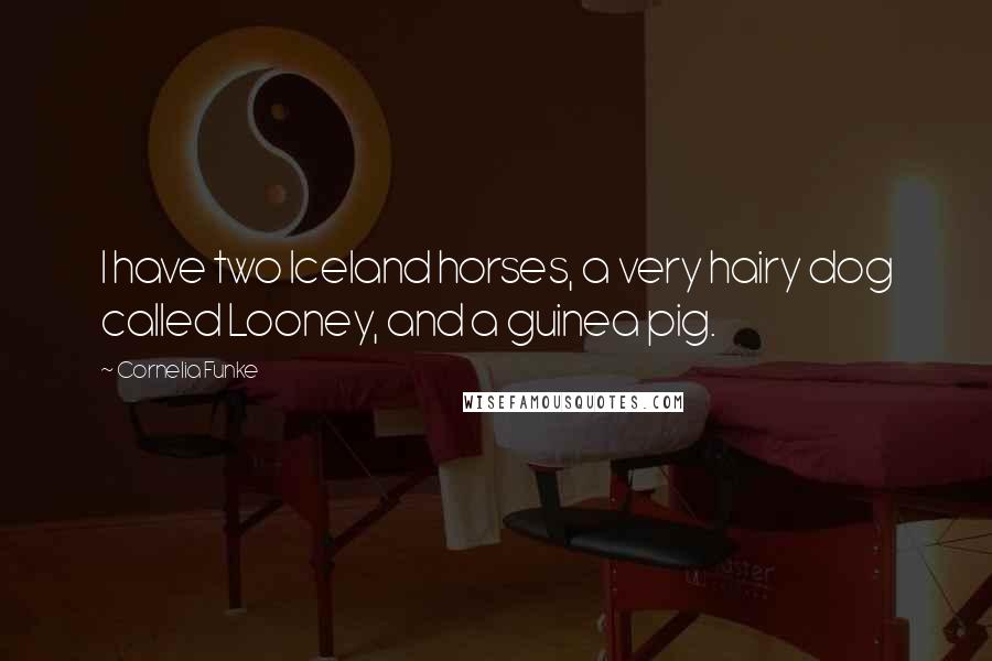 Cornelia Funke Quotes: I have two Iceland horses, a very hairy dog called Looney, and a guinea pig.