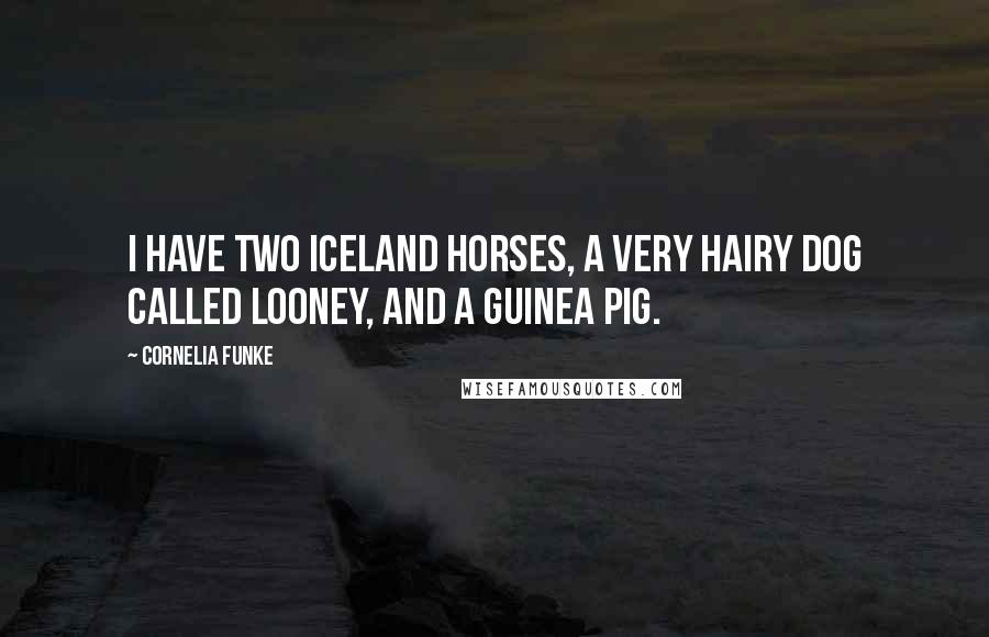Cornelia Funke Quotes: I have two Iceland horses, a very hairy dog called Looney, and a guinea pig.