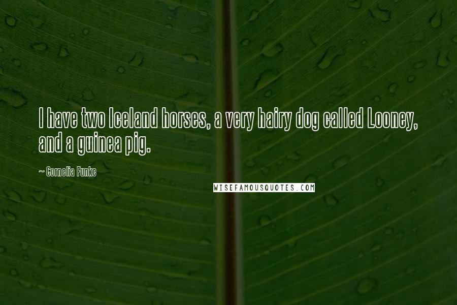 Cornelia Funke Quotes: I have two Iceland horses, a very hairy dog called Looney, and a guinea pig.