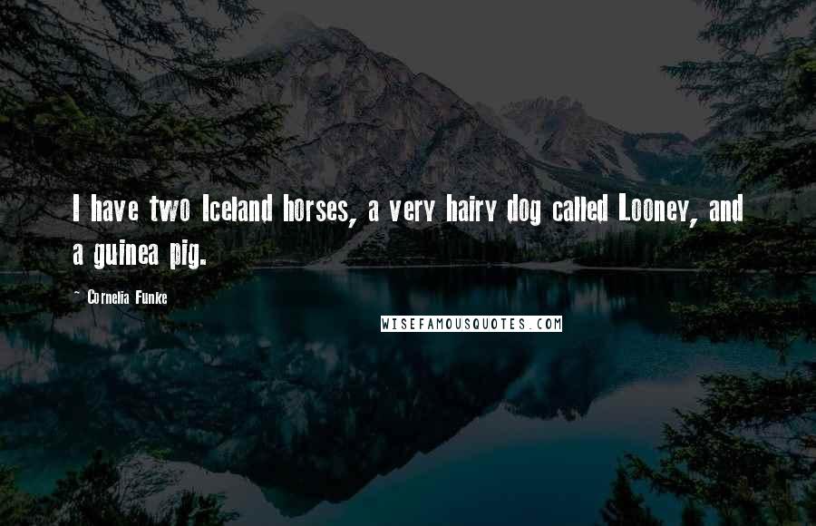 Cornelia Funke Quotes: I have two Iceland horses, a very hairy dog called Looney, and a guinea pig.