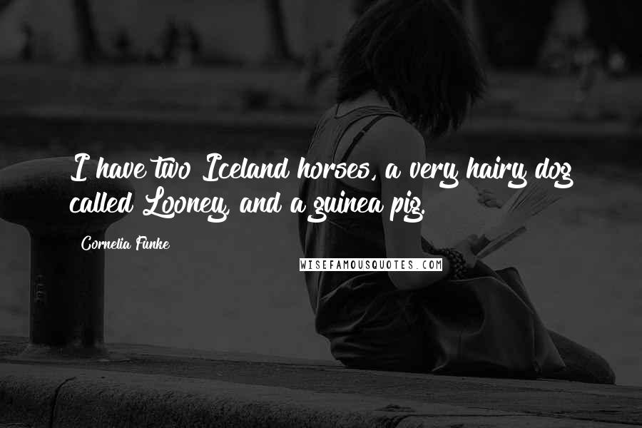 Cornelia Funke Quotes: I have two Iceland horses, a very hairy dog called Looney, and a guinea pig.