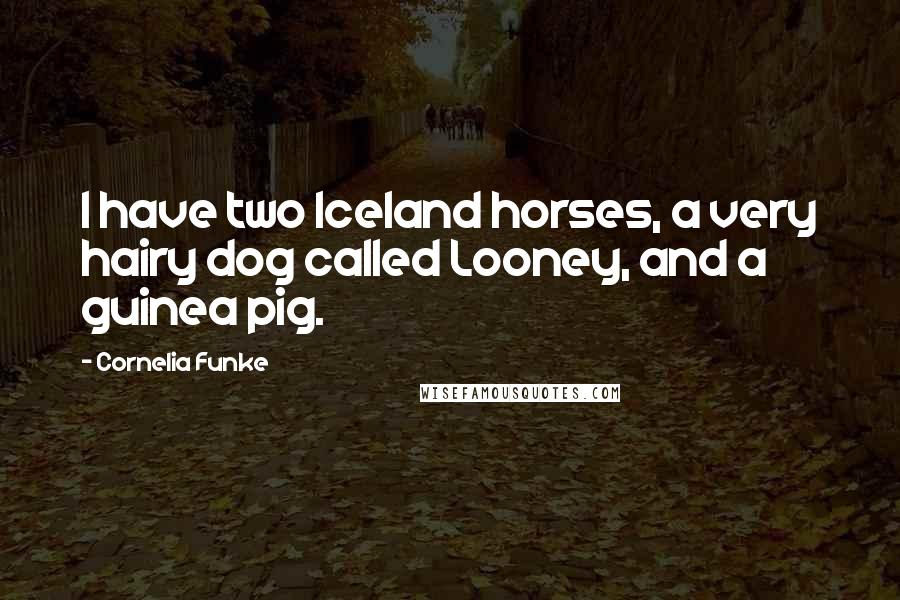 Cornelia Funke Quotes: I have two Iceland horses, a very hairy dog called Looney, and a guinea pig.