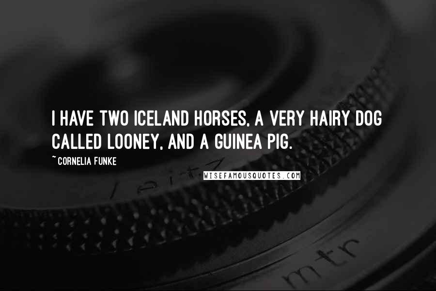 Cornelia Funke Quotes: I have two Iceland horses, a very hairy dog called Looney, and a guinea pig.