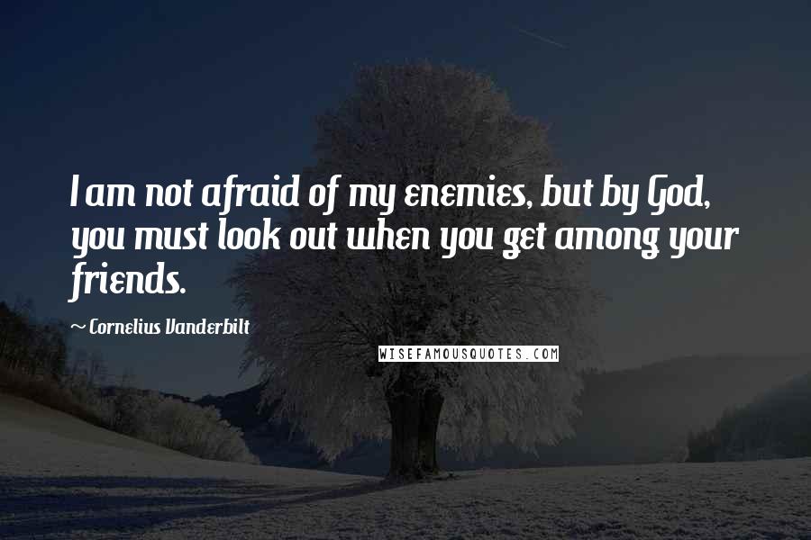 Cornelius Vanderbilt Quotes: I am not afraid of my enemies, but by God, you must look out when you get among your friends.