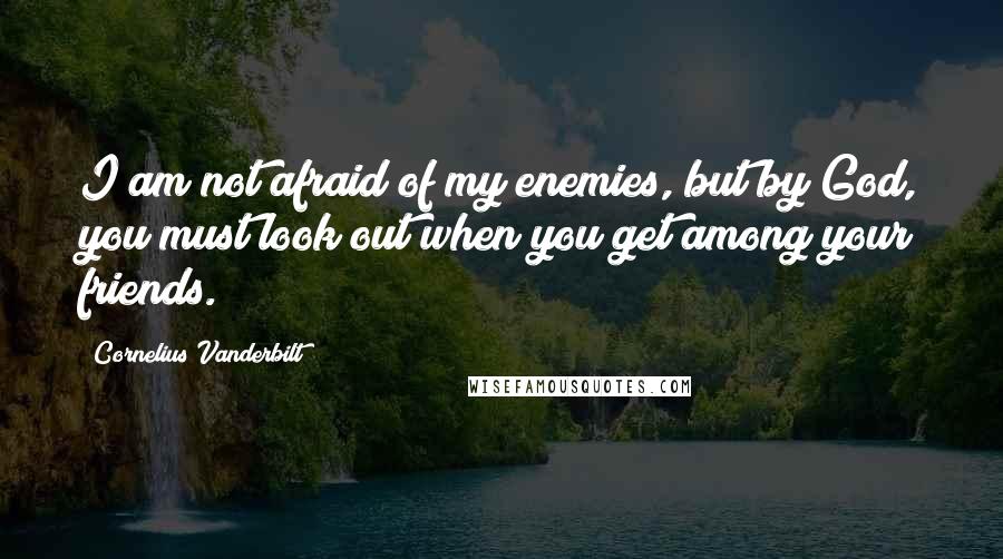 Cornelius Vanderbilt Quotes: I am not afraid of my enemies, but by God, you must look out when you get among your friends.