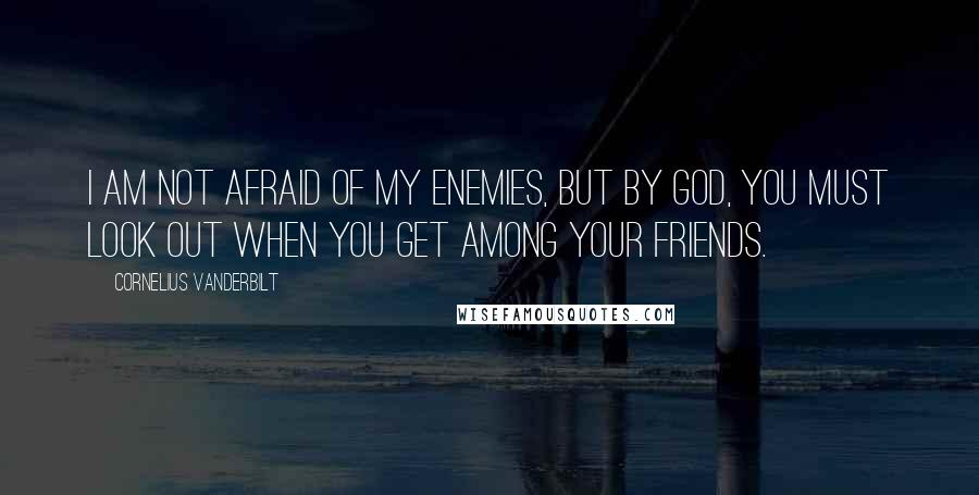 Cornelius Vanderbilt Quotes: I am not afraid of my enemies, but by God, you must look out when you get among your friends.