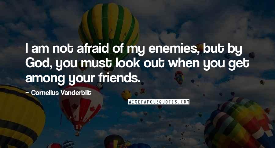 Cornelius Vanderbilt Quotes: I am not afraid of my enemies, but by God, you must look out when you get among your friends.