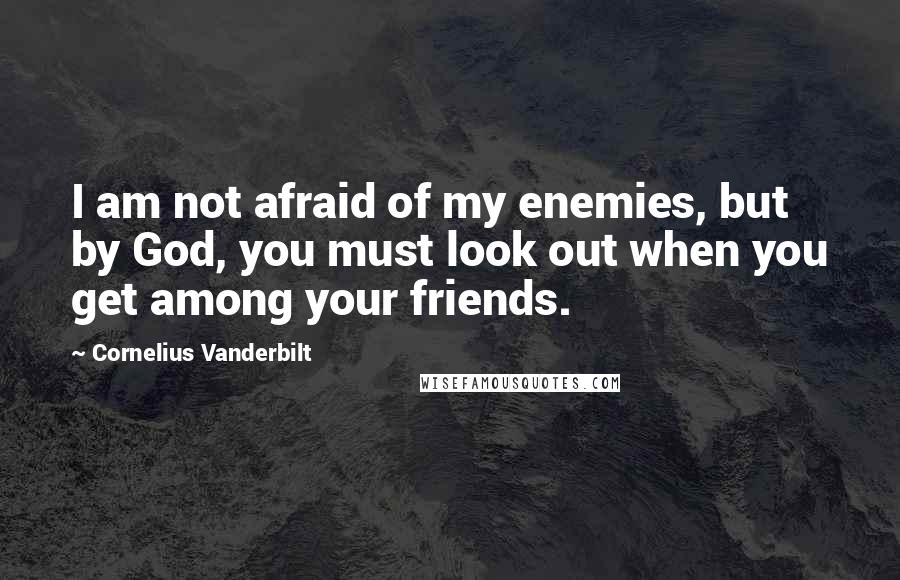 Cornelius Vanderbilt Quotes: I am not afraid of my enemies, but by God, you must look out when you get among your friends.