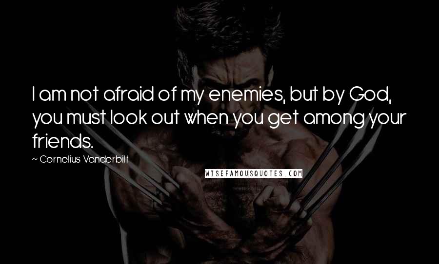 Cornelius Vanderbilt Quotes: I am not afraid of my enemies, but by God, you must look out when you get among your friends.