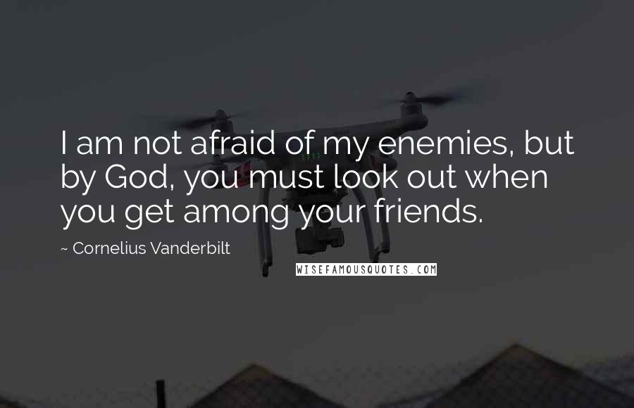 Cornelius Vanderbilt Quotes: I am not afraid of my enemies, but by God, you must look out when you get among your friends.