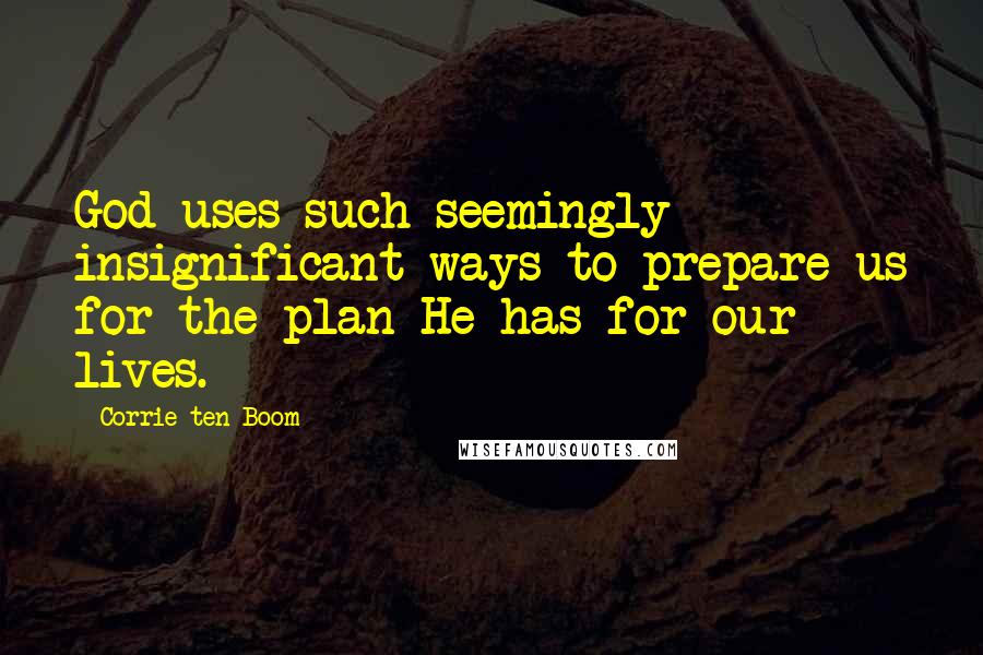 Corrie Ten Boom Quotes: God uses such seemingly insignificant ways to prepare us for the plan He has for our lives.