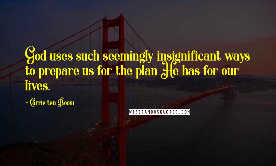 Corrie Ten Boom Quotes: God uses such seemingly insignificant ways to prepare us for the plan He has for our lives.