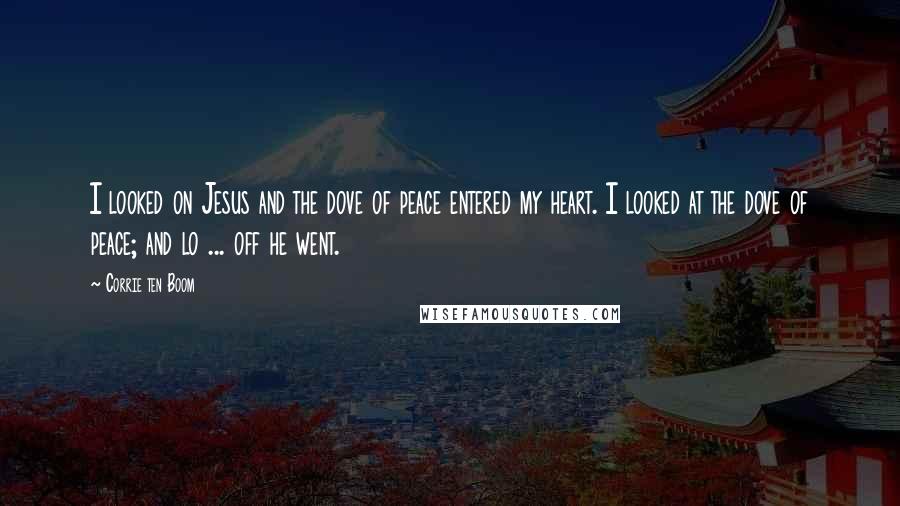Corrie Ten Boom Quotes: I looked on Jesus and the dove of peace entered my heart. I looked at the dove of peace; and lo ... off he went.