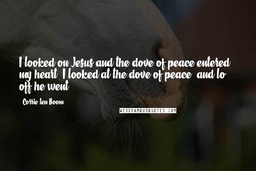 Corrie Ten Boom Quotes: I looked on Jesus and the dove of peace entered my heart. I looked at the dove of peace; and lo ... off he went.