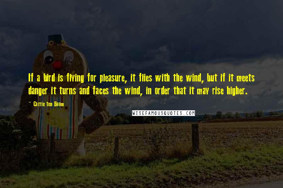 Corrie Ten Boom Quotes: If a bird is flying for pleasure, it flies with the wind, but if it meets danger it turns and faces the wind, in order that it may rise higher.