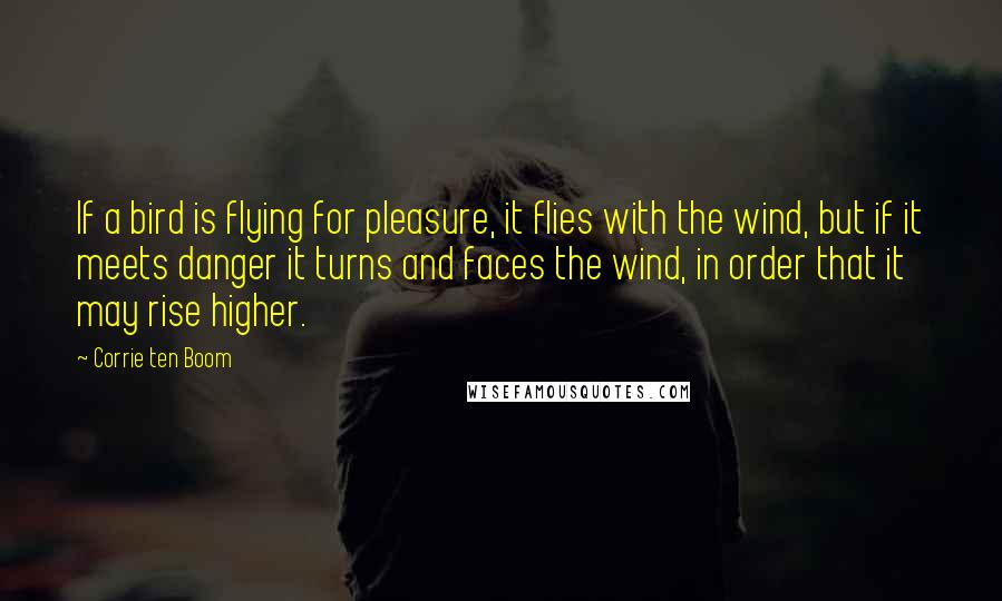 Corrie Ten Boom Quotes: If a bird is flying for pleasure, it flies with the wind, but if it meets danger it turns and faces the wind, in order that it may rise higher.