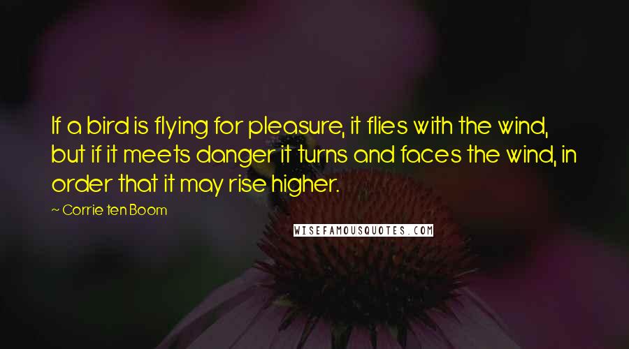 Corrie Ten Boom Quotes: If a bird is flying for pleasure, it flies with the wind, but if it meets danger it turns and faces the wind, in order that it may rise higher.