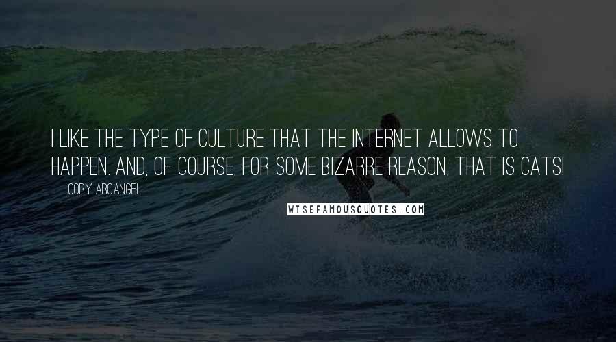 Cory Arcangel Quotes: I like the type of culture that the Internet allows to happen. And, of course, for some bizarre reason, that is cats!