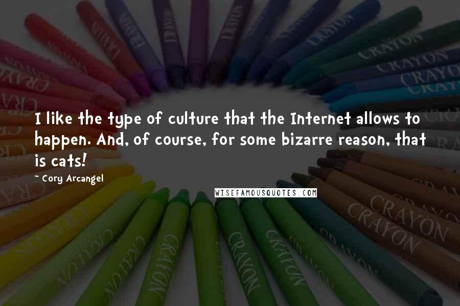 Cory Arcangel Quotes: I like the type of culture that the Internet allows to happen. And, of course, for some bizarre reason, that is cats!