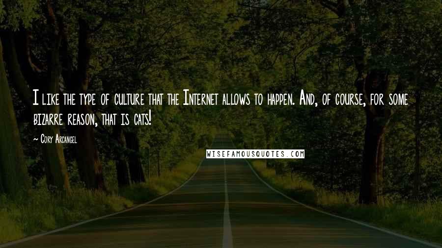 Cory Arcangel Quotes: I like the type of culture that the Internet allows to happen. And, of course, for some bizarre reason, that is cats!