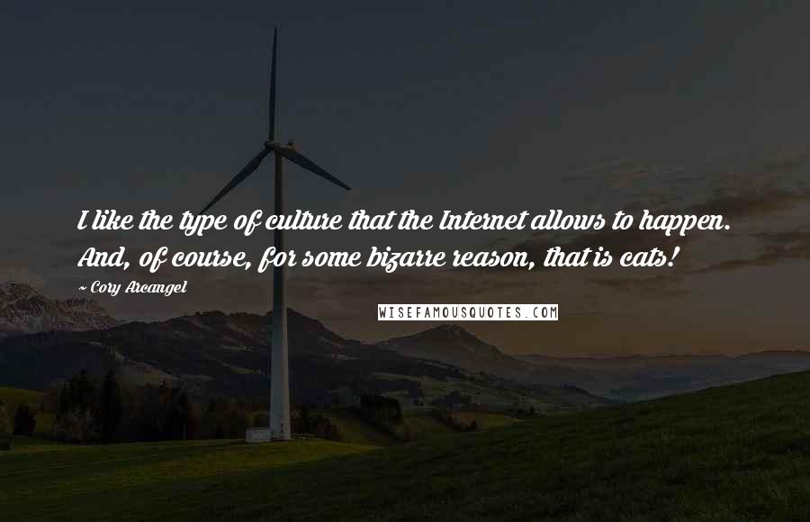 Cory Arcangel Quotes: I like the type of culture that the Internet allows to happen. And, of course, for some bizarre reason, that is cats!