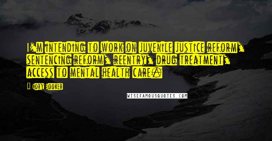 Cory Booker Quotes: I'm intending to work on juvenile justice reform, sentencing reform, reentry, drug treatment, access to mental health care.