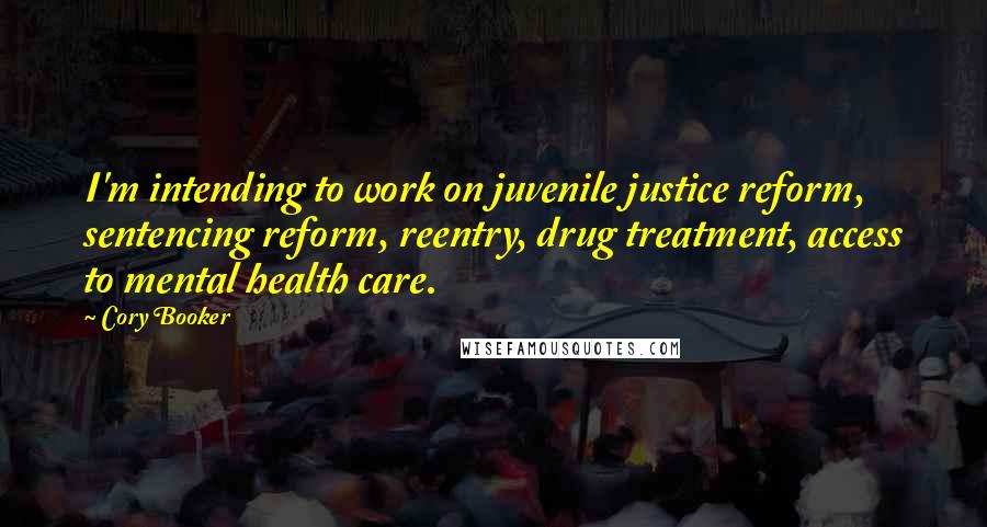 Cory Booker Quotes: I'm intending to work on juvenile justice reform, sentencing reform, reentry, drug treatment, access to mental health care.