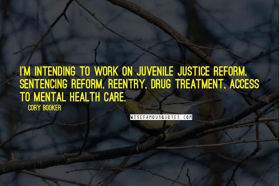 Cory Booker Quotes: I'm intending to work on juvenile justice reform, sentencing reform, reentry, drug treatment, access to mental health care.