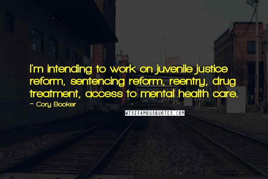 Cory Booker Quotes: I'm intending to work on juvenile justice reform, sentencing reform, reentry, drug treatment, access to mental health care.