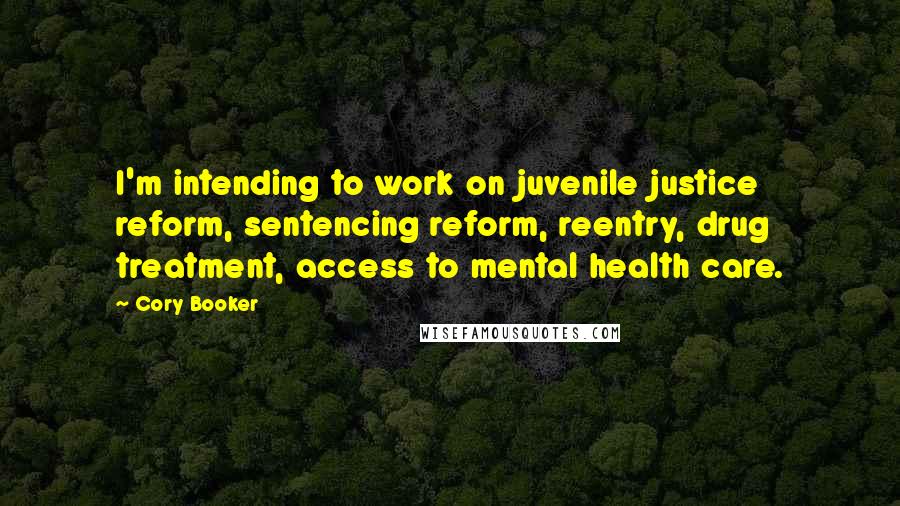 Cory Booker Quotes: I'm intending to work on juvenile justice reform, sentencing reform, reentry, drug treatment, access to mental health care.