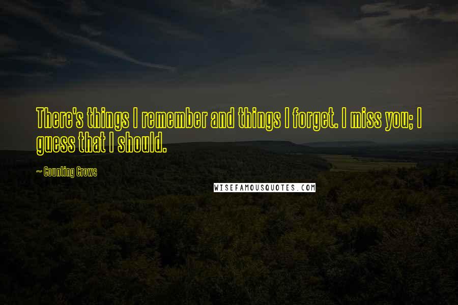 Counting Crows Quotes: There's things I remember and things I forget. I miss you; I guess that I should.