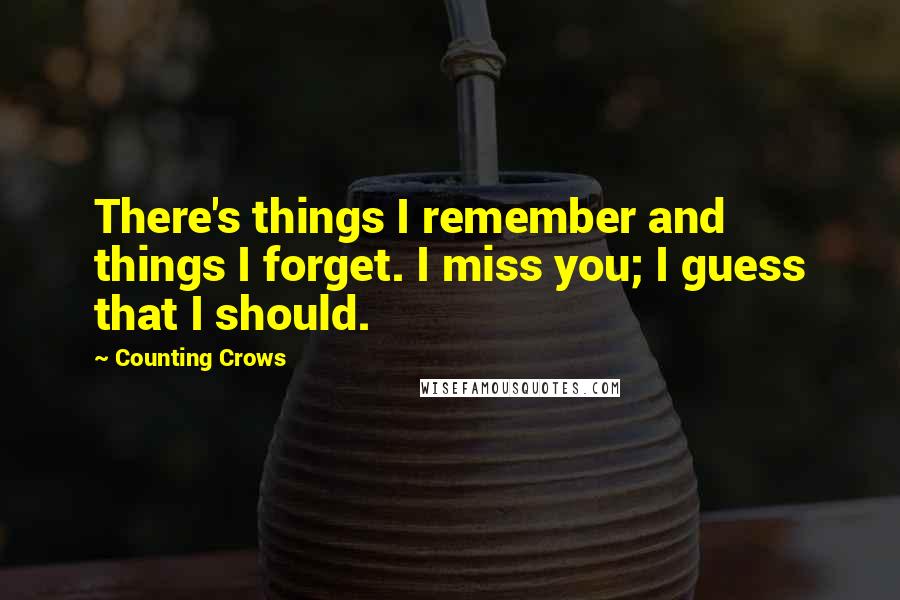 Counting Crows Quotes: There's things I remember and things I forget. I miss you; I guess that I should.