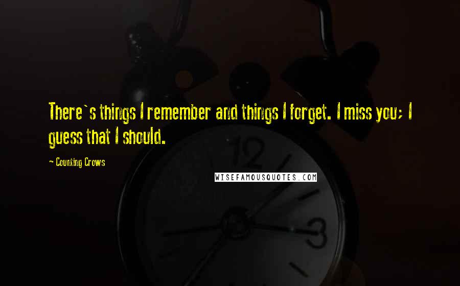 Counting Crows Quotes: There's things I remember and things I forget. I miss you; I guess that I should.