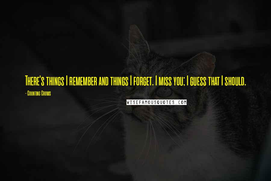 Counting Crows Quotes: There's things I remember and things I forget. I miss you; I guess that I should.