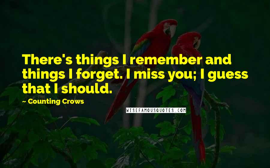 Counting Crows Quotes: There's things I remember and things I forget. I miss you; I guess that I should.