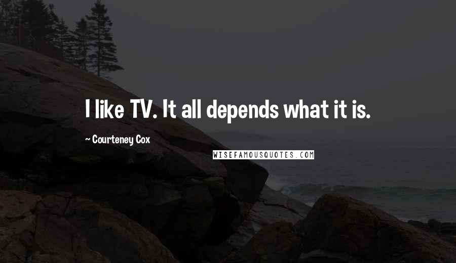 Courteney Cox Quotes: I like TV. It all depends what it is.